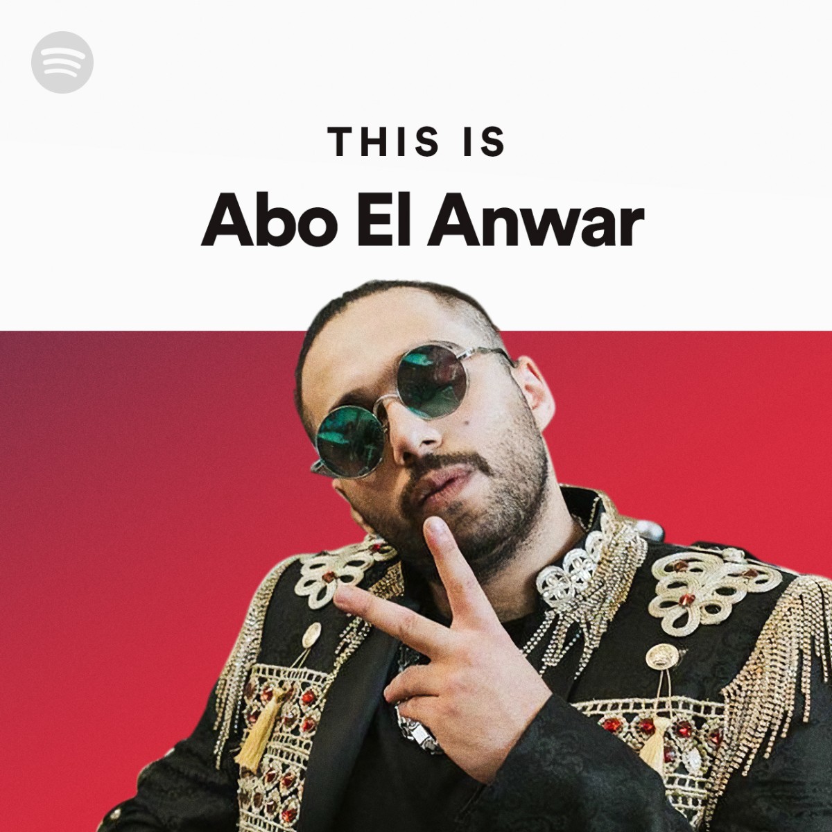 You are currently viewing Abo El Anwar