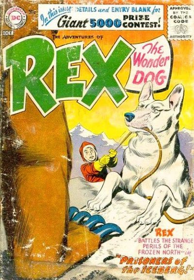 You are currently viewing Adventures of Rex