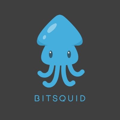 BitSquid