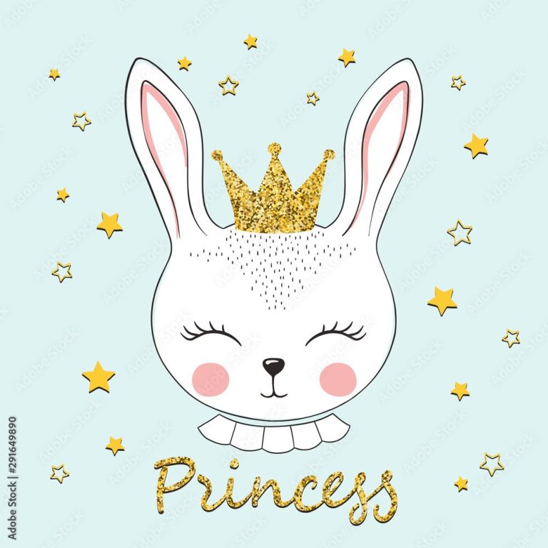 Read more about the article Bunny Princess