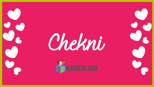 Read more about the article chekni