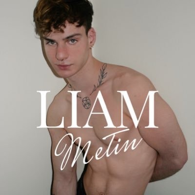 Read more about the article Liam Metin
